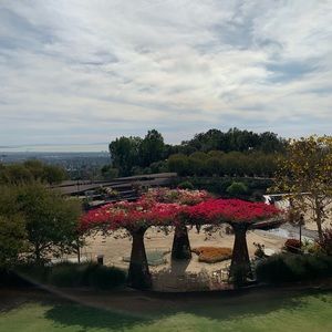 Meet your Posher, Isabel